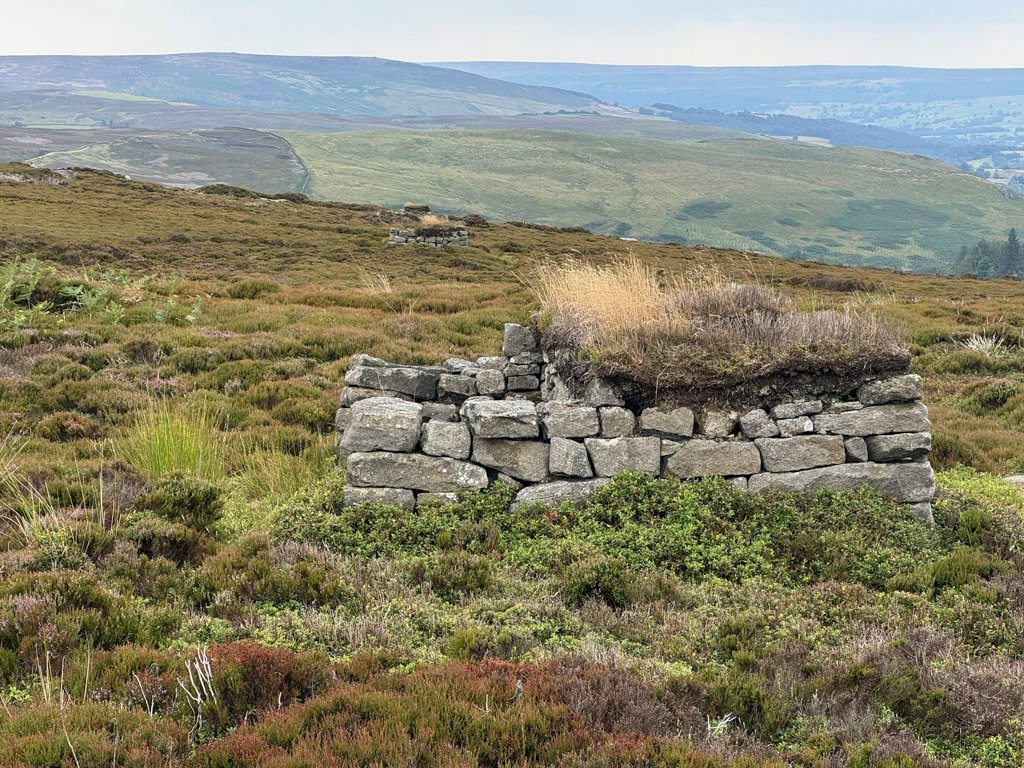 Grouse Butts, Barden Fell
