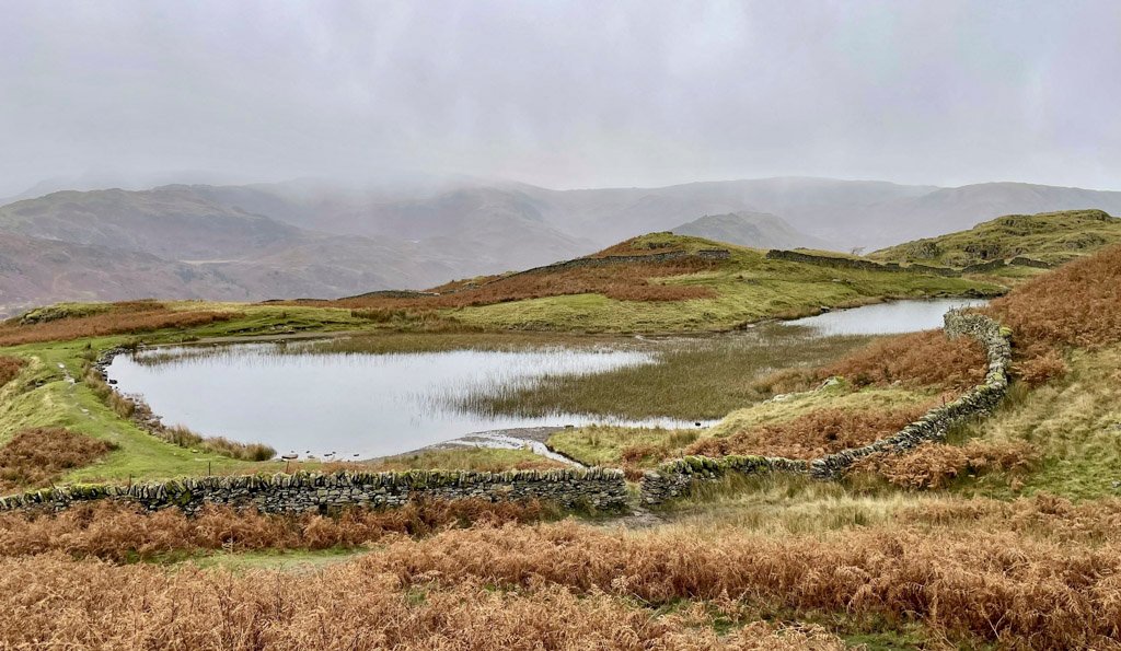 Alcock Tarn