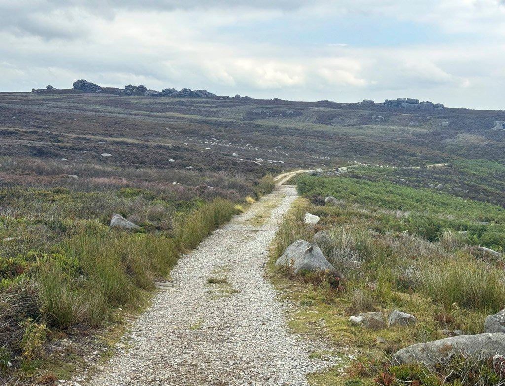 Estate Tracks, Barden Fell
Long Crag, Barden Fell
