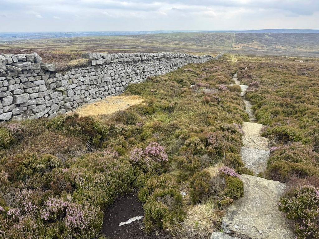 Wall adapted as grouse shooting stance, Barden Fell
