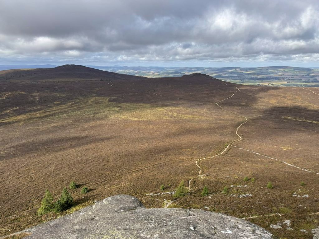 Bennachie Heather Moor